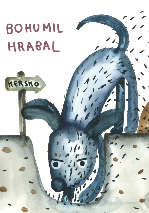 Pohled - Bohumil Hrabal - Rudolf Brančovský
